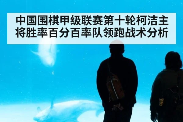 中国围棋甲级联赛第十轮柯洁主将胜率百分百率队领跑战术分析（jiuyou game）