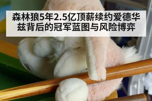 森林狼5年2.5亿顶薪续约爱德华兹背后的冠军蓝图与风险博弈