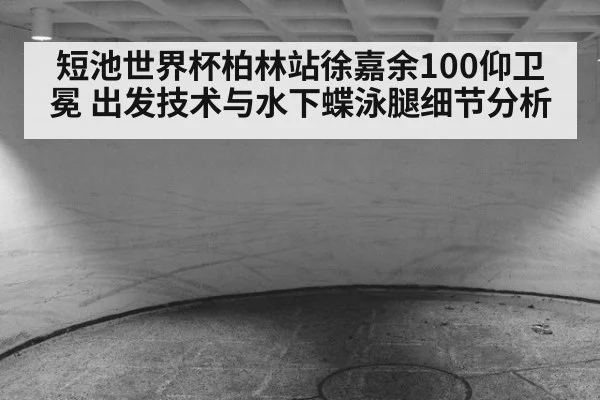 短池世界杯柏林站徐嘉余100仰卫冕 出发技术与水下蝶泳腿细节分析（jiuyou game）