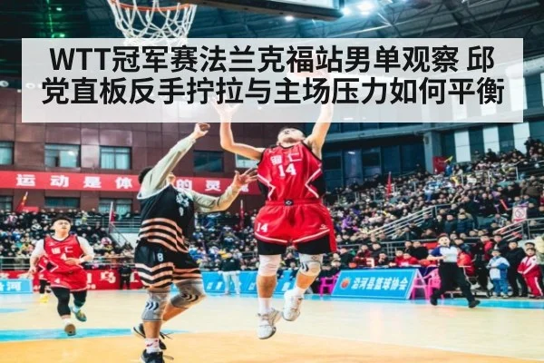 WTT冠军赛法兰克福站男单观察 邱党直板反手拧拉与主场压力如何平衡